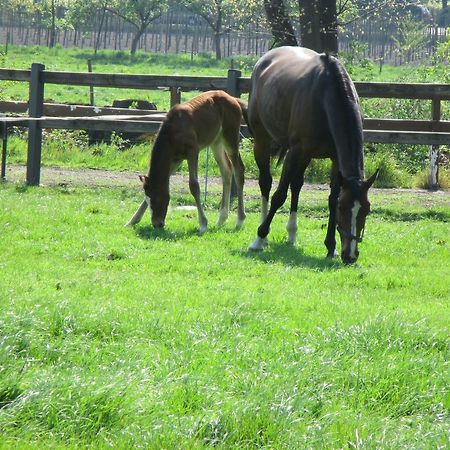 B&B De Turffabriek Griendtsveen Bagian luar foto